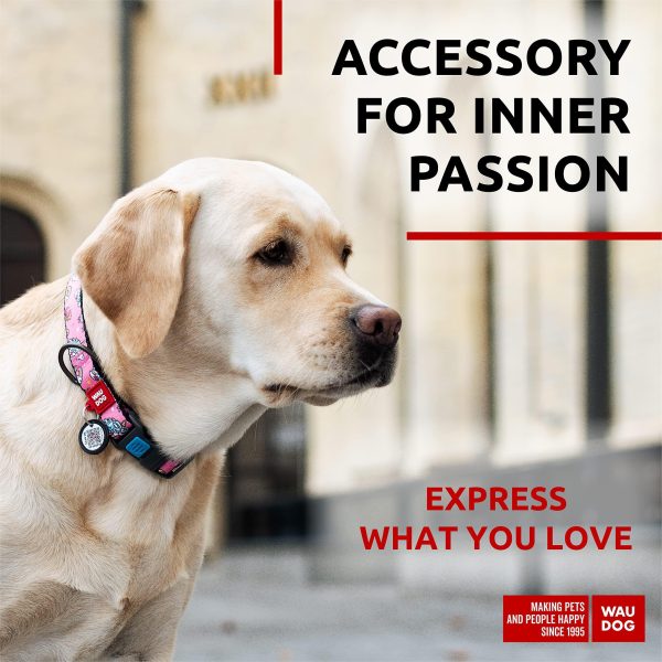 Nylon Dog Collar   Adjustable Dog Collar for Large Dogs Small & Medium Dogs   Breakaway Puppy Collars for Large Breed Dogs   Boy & Girl Dog Collars with Durable Plastic Buckle and QR Dog Tag - Image 2