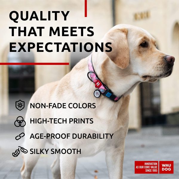 Nylon Dog Collar   Adjustable Dog Collar for Large Dogs Small & Medium Dogs   Breakaway Puppy Collars for Large Breed Dogs   Boy & Girl Dog Collars with Durable Plastic Buckle and QR Dog Tag - Image 4