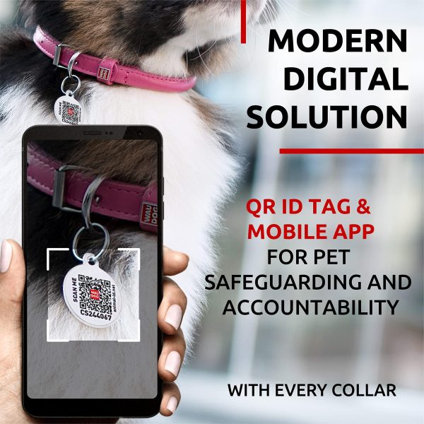 Ultra Soft Rolled Leather Dog Collar for Small Dogs   Soft Padded Dog Collars for Medium Dogs   Puppy Collars for Large Breed Dogs   Male and Female Dog Collar - Image 3