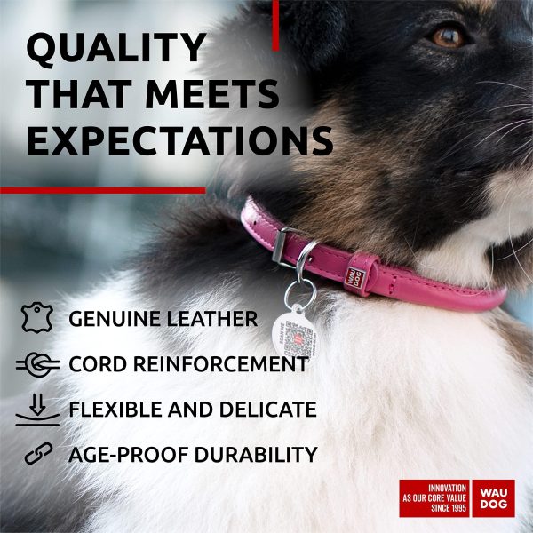 Ultra Soft Rolled Leather Dog Collar for Small Dogs   Soft Padded Dog Collars for Medium Dogs   Puppy Collars for Large Breed Dogs   Male and Female Dog Collar - Image 4