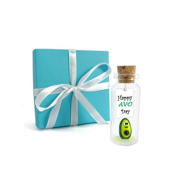 Tiny Magical Message in a Bottle Gift Idea   Classy Inspirational Gifts for Him and Her   Unique Presents for Women and Men (Green Avocado   Happy Avo Day in Teal Gift Box)