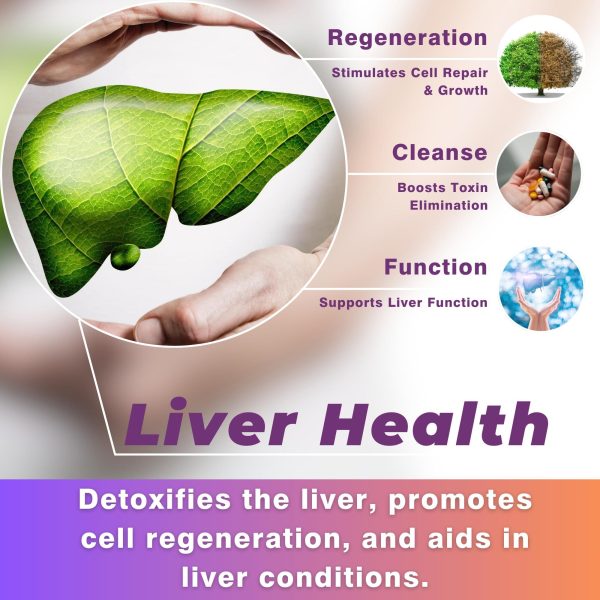 CO2 Extracted Milk Thistle Seed Oil   100% Potent Liver Support Milk Thistle Oil   Rich in Silymarin Zinc Omegas Tocopherols   Pure Milk Thistle Drops 2 Fl Oz - Image 4