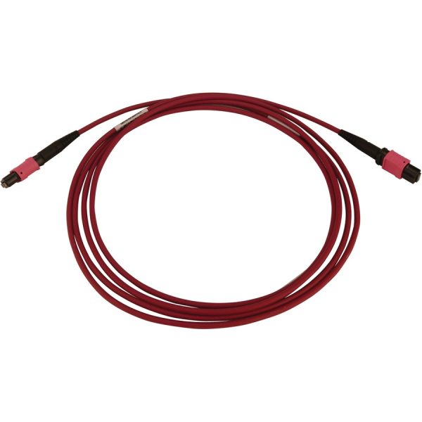 Eaton Tripp Lite Series 100G Multimode 50/125 OM4 Fiber Optic Cable (12F MTP/MPO-PC F/F), LSZH, Magenta, 2 m (6.6 ft.) - Image 2