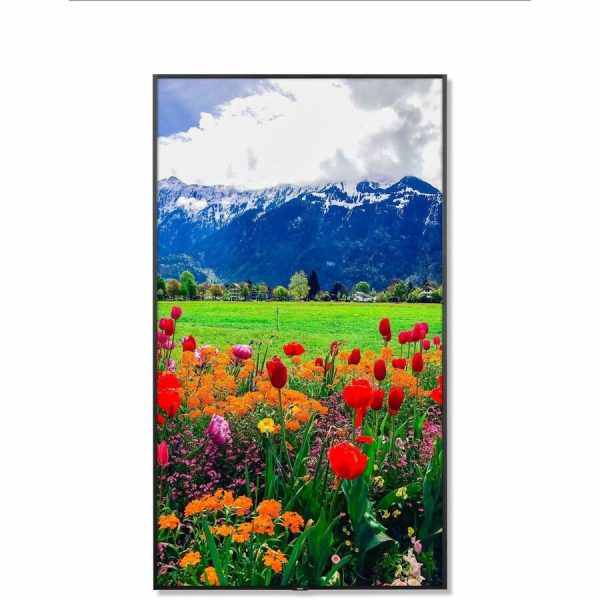 NEC Display 86" Ultra High Definition Professional Display with ATSC/NTSC Tuner - Image 4