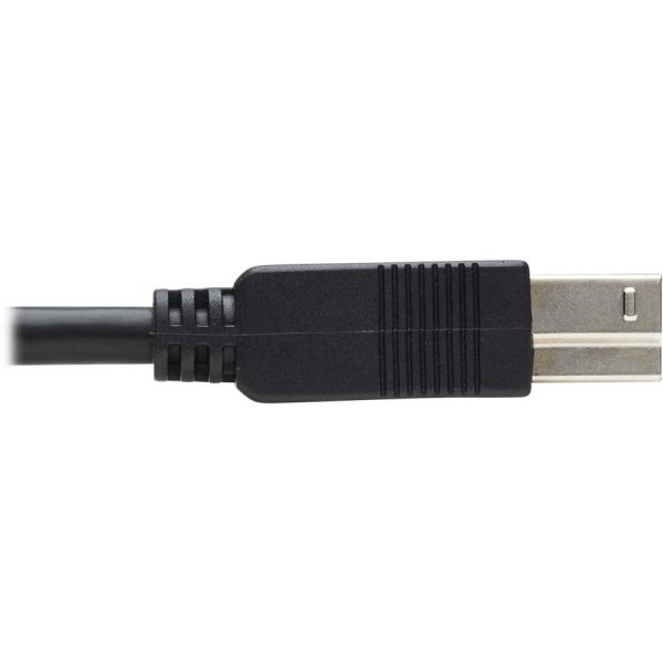 Eaton Tripp Lite Series USB 3.2 Gen 1 Plenum-Rated Fiber Active Optical Cable (AOC) - 5 Gbps, (A to B M/M), Black, 30 m - Image 5