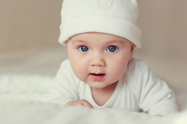 Infant Track Sweatpants - 2 Pack Cs_0552m - Image 3