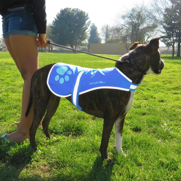 Dog Reflective Vest – Multiple Color Options with Hi Vis Fluorescent Visibility Helping to Safeguard Your Pet On Off Leash in Urban & Rural Areas. - Image 3