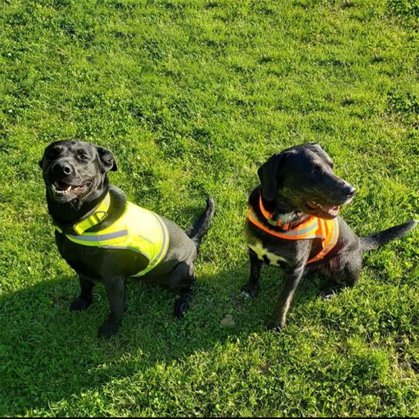 Lite Dog Vest. Coverage to Mid Back. Reflective Hi Visibility Blaze Orange Fluorescent Fabric Helps to Keep Them in Sight and Safe On and Off Leash. - Image 9