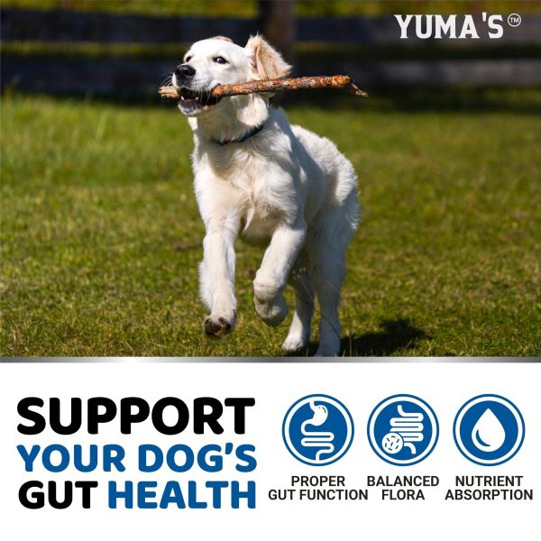 Probiotics for Dogs and Digestive Enzymes   170 Dog Probiotics Chews   Pet Fiber Supplement   Anti Diarrhea Upset Stomach & Gas Relief Constipation Canine Prebiotic   Gut Health Treats   USA Made - Image 4