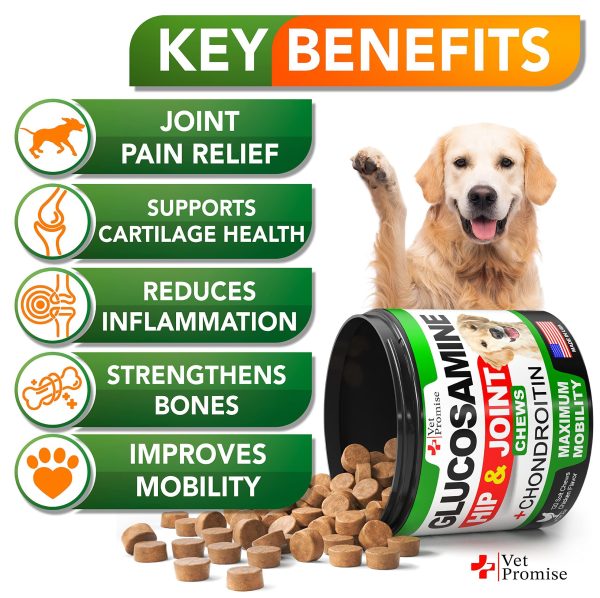 Glucosamine for Dogs   Hip and Joint Supplement for Dogs   Glucosamine Chondroitin for Dogs   Dog Joint Pain Relief Treats with MSM   Hemp   Advanced Dog Joint Supplement Health   120 Mobility Chews - Image 2