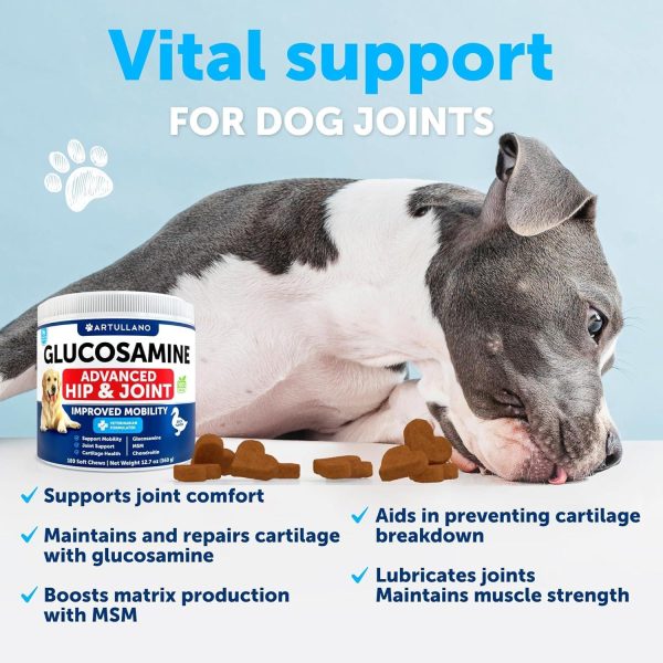 Glucosamine for Dogs   Hip and Joint Supplement for Dogs with Arthritis   Chews with Chondroitin Hemp Oil MSM   Canine Joint Pain Relief Health   Mobility Support for Large Breeds   120 Soft Treats - Image 4