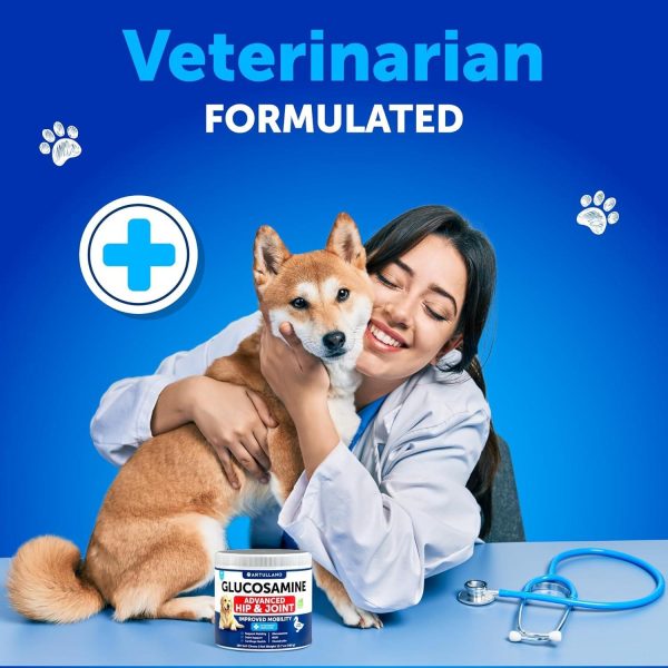 Glucosamine for Dogs   Hip and Joint Supplement for Dogs with Arthritis   Chews with Chondroitin Hemp Oil MSM   Canine Joint Pain Relief Health   Mobility Support for Large Breeds   120 Soft Treats - Image 6
