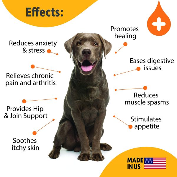 Hemp Oil for Dogs & Cats   Large 2oz Bottle Made in USA   Joint Pain and Anxiety Relief Arthritis Seizures   Calming Aid Supplement with Vitamins A C E and Omega 3 6 9 100% Organic Hemp - Image 3