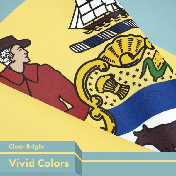 G128 5 Pack: Delaware DE State Flag | 3x5 Ft | LiteWeave Pro Series Printed 150D Polyester | Indoor/Outdoor, Vibrant Colors, Brass Grommets, Thicker and More Durable Than 100D 75D Polyester - Image 3