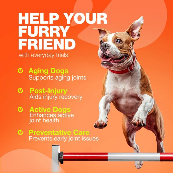 Glucosamine for Dogs   Hemp Hip and Joint Supplement for Dogs   Glucosamine Chondroitin Chews with MSM Turmeric Collagen for Mobility Bone Skin and Coat Health   Maintains Muscle Strength - Image 4