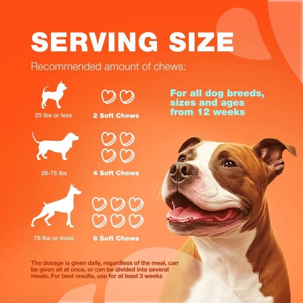 Glucosamine for Dogs   Hemp Hip and Joint Supplement for Dogs   Glucosamine Chondroitin Chews with MSM Turmeric Collagen for Mobility Bone Skin and Coat Health   Maintains Muscle Strength - Image 8