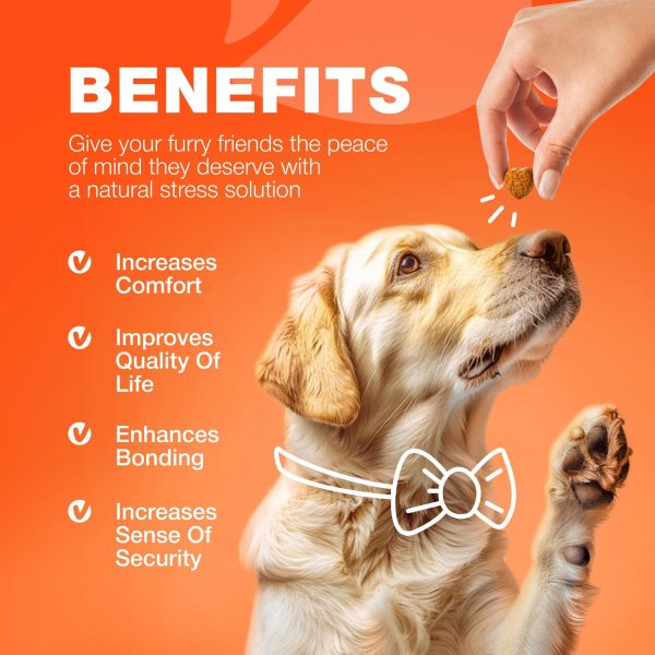 Glucosamine for Dogs   Hemp Hip and Joint Supplement for Dogs   Glucosamine Chondroitin Chews with MSM Turmeric Collagen for Mobility Bone Skin and Coat Health   Maintains Muscle Strength - Image 9