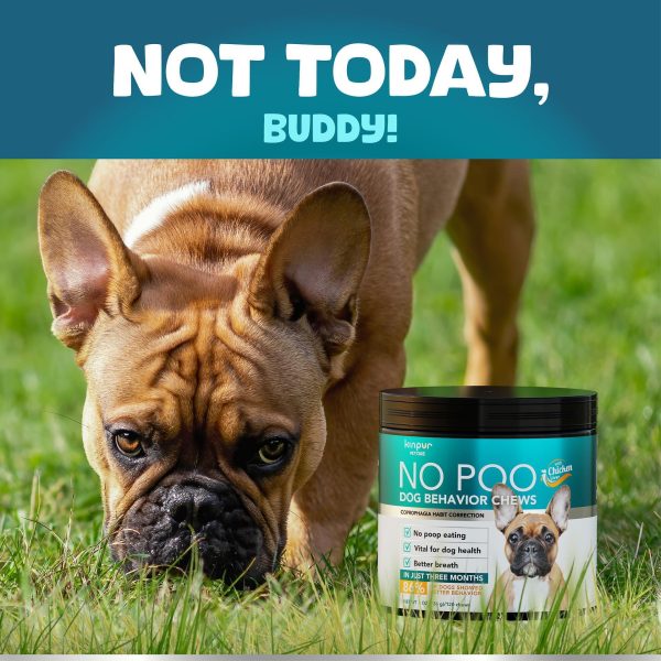 No Poo Chews for Dogs – Stop Poop Eating Behavior – Probiotics and Digestive Enzymes for Dogs – Bad Breath Support for All Breeds – Digestive and Gut Health Supplement – 180 Soft Chews - Image 6