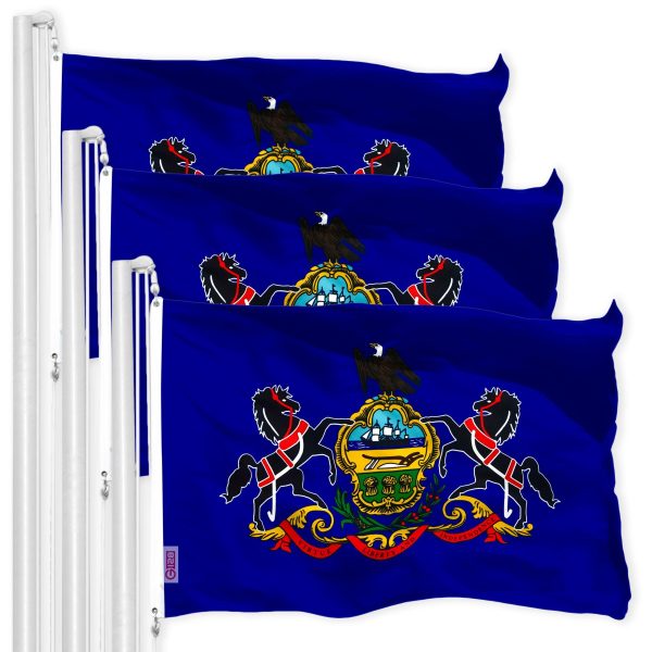 Pennsylvania PA State Flag 3x5 Ft 3-Pack 150D Printed Polyester By G128