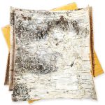 White Birch Bark 4 Sheets 12  x 12  DIY Crafts Natural Birch Tree Bark Slices to Make Your Own Wood Coasters Decorative Candle Holder Birch Candles Birch Planter