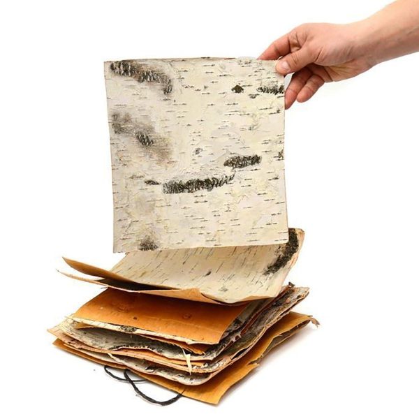 White Birch Bark 4 Sheets 12  x 12  DIY Crafts Natural Birch Tree Bark Slices to Make Your Own Wood Coasters Decorative Candle Holder Birch Candles Birch Planter - Image 6