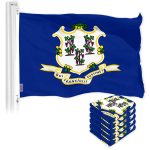 G128 5 Pack: Connecticut CT State Flag | 3x5 Ft | LiteWeave Pro Series Printed 150D Polyester | Indoor/Outdoor, Vibrant Colors, Brass Grommets, Thicker and More Durable Than 100D 75D Polyester