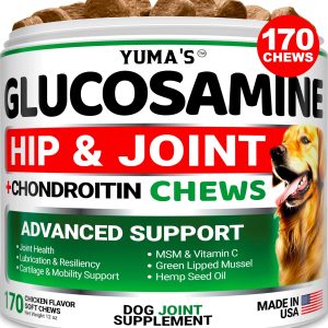 Glucosamine for Dogs   Hip and Joint Supplement for Dogs   170 Ct   Glucosamine Chondroitin for Dogs Chews   Dog Joint Pain Relief with MSM   Advanced Dog Joint Supplement Health   Mobility Support