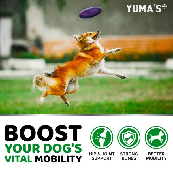 Glucosamine for Dogs   Hip and Joint Supplement for Dogs   170 Ct   Glucosamine Chondroitin for Dogs Chews   Dog Joint Pain Relief with MSM   Advanced Dog Joint Supplement Health   Mobility Support - Image 4