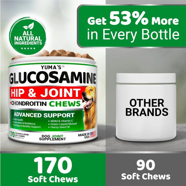 Glucosamine for Dogs   Hip and Joint Supplement for Dogs   170 Ct   Glucosamine Chondroitin for Dogs Chews   Dog Joint Pain Relief with MSM   Advanced Dog Joint Supplement Health   Mobility Support - Image 5