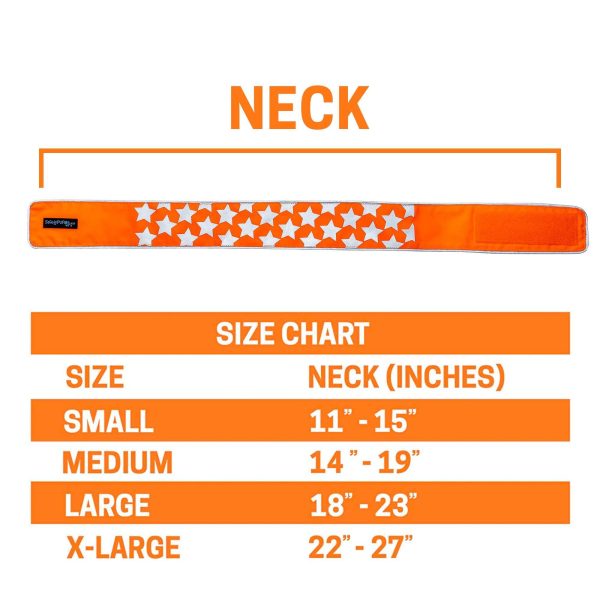 Reflective Dog Collar. Fluorescent Blaze Orange with Adjustable Fastener for Small Medium & Large Pets. High Visibility Dog Products to Safeguard Your PUP from Motorists & Hunters. - Image 3
