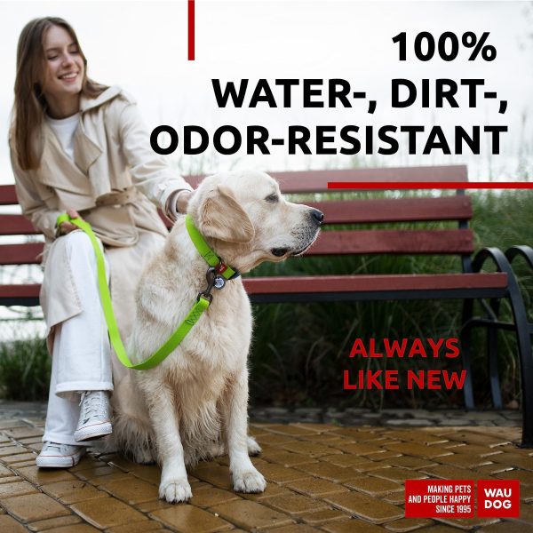 Waterproof Dog Collar   Adjustable Dog Collar for Large Dogs Small and Medium Dogs   Breakaway Dog Collar Waterproof with Plastic Buckle and QR Dog Tag   Boy & Girl Dog Collars (Green) - Image 2
