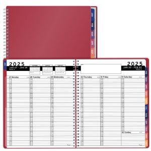 2025 Appointment Book & Planner   8.5 x 11 inches Large Tabbed Daily Hourly Weekly Planner Calendar & Schedule Book 15 Minute time Slots Business & Personal Planner Jan 2025  Dec 2025  Marron