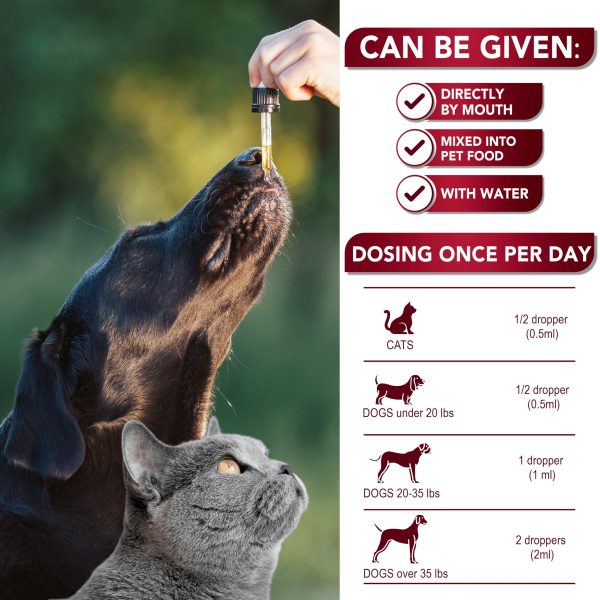 Cats & Dogs Natural Broad Spectrum Drops   Liquid Herbal Medicine   Helps Remove Toxins   Supplement Drops   All Breeds and Sizes   Non GMO   Made in USA - Image 5