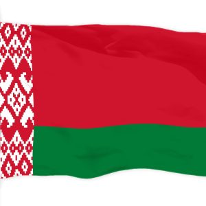 G128 Belarus Belarusian Flag | 3x5 Ft | LiteWeave Pro Series Printed 150D Polyester | Country Flag, Indoor/Outdoor, Vibrant Colors, Brass Grommets, Thicker and More Durable Than 100D 75D Polyester