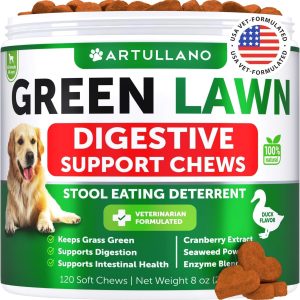 Grass Burn Spot Chews for Dogs   Pee Lawn Spot Saver Caused by Dog Urine   Grass Treatment Rocks   Urine Neutralizer for Green Lawn   Chewable Probiotics Digestive Enzymes DL Methionine   120 Treats