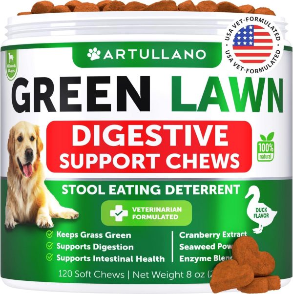 Grass Burn Spot Chews for Dogs   Pee Lawn Spot Saver Caused by Dog Urine   Grass Treatment Rocks   Urine Neutralizer for Green Lawn   Chewable Probiotics Digestive Enzymes DL Methionine   120 Treats
