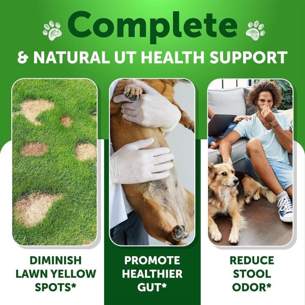 Grass Burn Spot Chews for Dogs   Pee Lawn Spot Saver Caused by Dog Urine   Grass Treatment Rocks   Urine Neutralizer for Green Lawn   Chewable Probiotics Digestive Enzymes DL Methionine   120 Treats - Image 2