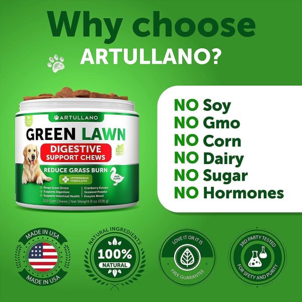 Grass Burn Spot Chews for Dogs   Pee Lawn Spot Saver Caused by Dog Urine   Grass Treatment Rocks   Urine Neutralizer for Green Lawn   Chewable Probiotics Digestive Enzymes DL Methionine   120 Treats - Image 6