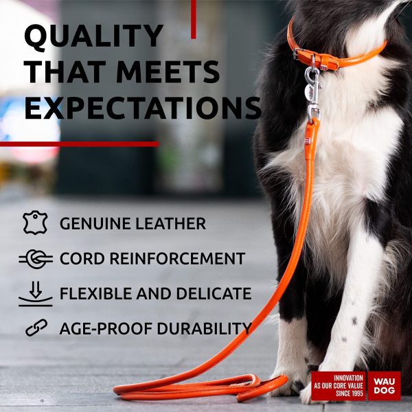 Rolled Leather Dog Leash 4Ft * 0.4 in for Small Medium and Large Dogs   Heavy Duty Leather Puppy Leash for Outdoor Walking Running Training   Strong Dog Leashes for Large Breed Dogs (Orange) - Image 3