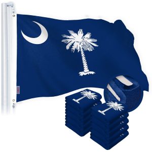 G128 10 Pack: South Carolina SC State Flag | 2x3 Ft | StormFlyer Series Embroidered 220GSM Spun Polyester | Embroidered Design, Indoor/Outdoor, Brass Grommets, Heavy Duty, All Weather