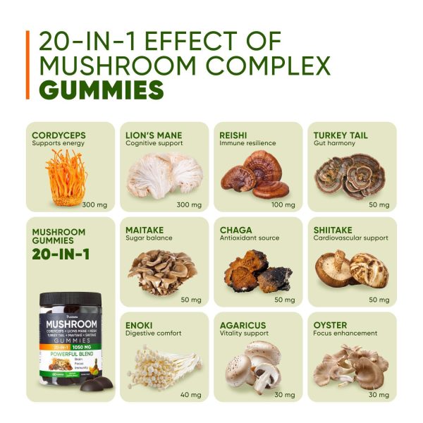 Purawex Mushroom Gummies, 20 in 1 Mushroom Complex 1050 MG, Cordyceps, Reishi, Turkey Tail, Maitake, Shiitake, Lion Mane Mushroom Supplement for Immune, Focus, Energy Support, Sugar Free, Vegan - Image 4