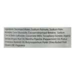 Okay Pure Naturals - Hand Soap Peppermint - 1 Each 1-16 FZ