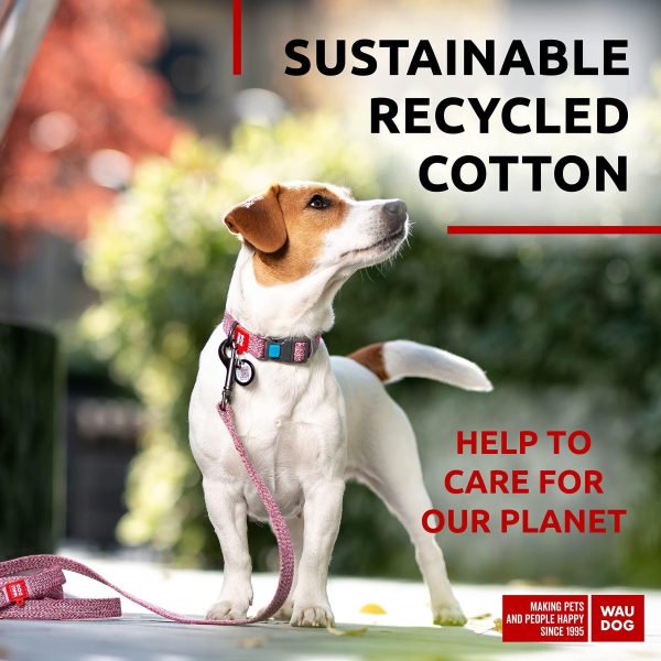 Recycled Cotton Dog Leash 6 Ft   10 Ft Eco Friendly Collar for Small Medium & Large Dogs   Reflective Dog Leash for Medium Dogs   Strong Leashes for Large Breed Dogs Puppy Leash for Small Dogs - Image 2