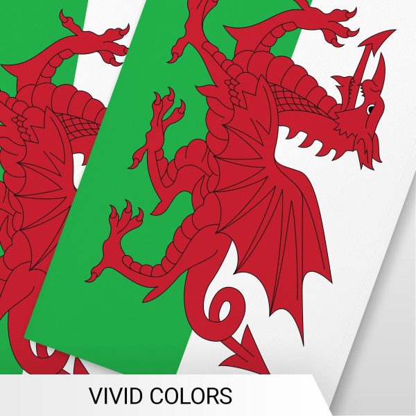 G128 Wales Welsh Bunting Banner | Flag 8.2 x 5.5 Inch, Full String 33 Feet | Printed 150D Polyester, Decorations For Bar, School, Festival Events Celebration - Image 6