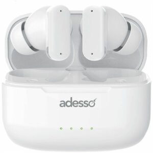Noise Cancelling Earbuds