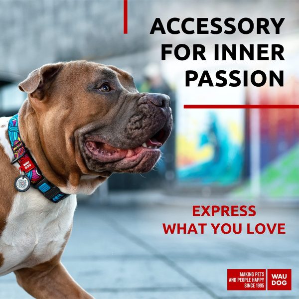 Nylon Dog Collar   Adjustable Dog Collar for Large Dogs Small & Medium Dogs   Breakaway Puppy Collars for Large Breed Dogs   Boy & Girl Dog Collars with Durable Plastic Buckle and QR Dog Tag - Image 2