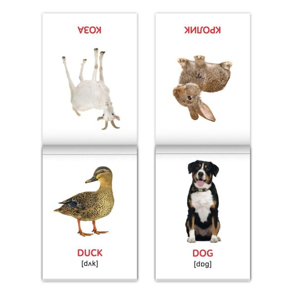 Russian English First Words Flash Cards 8 pcs   Learn English Flash Cards of Doman   Learning English as Second Language   English Teaching Games - Image 6