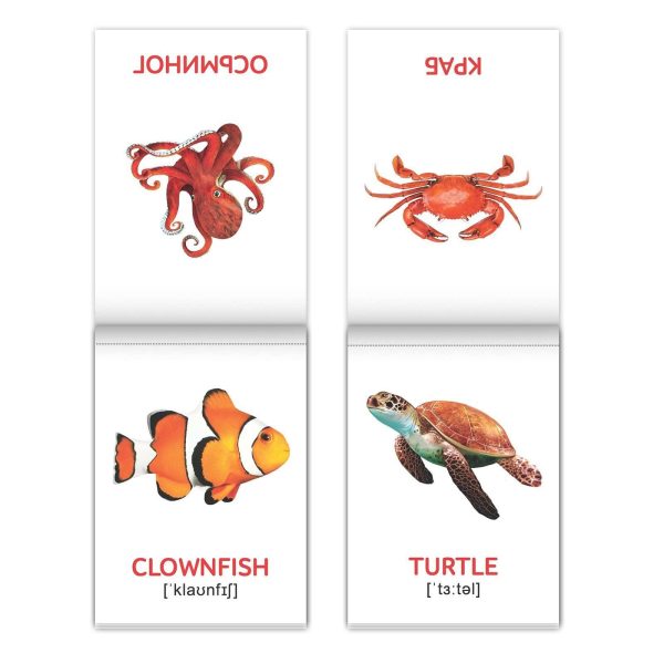 Russian English First Words Flash Cards 8 pcs   Learn English Flash Cards of Doman   Learning English as Second Language   English Teaching Games - Image 7