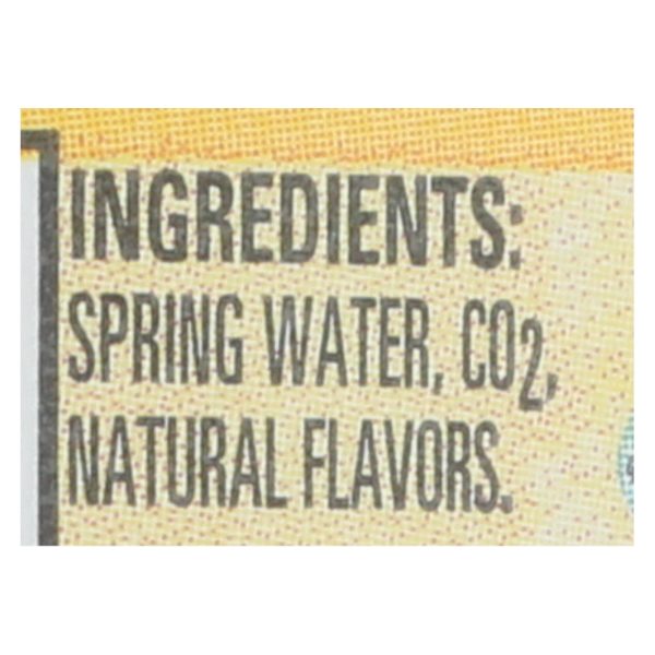 Ice Mountain - Sparkling Water - Lively Lemon - Case of 12 - 33.8 fl oz. - Image 2