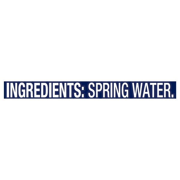 Ice Mountain - Natural Spring Water - Case of 4 - 6/16.9 fl oz.